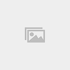 IELTS MOCK